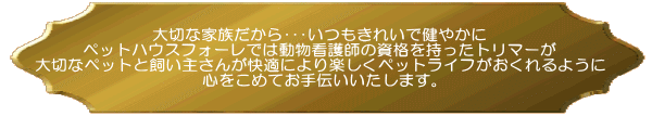 ؂ȉƑ祥ꂢŌ₩ ybgnEXtH[ł͓Ōt̎ig}[ ؂ȃybgƎ傳񂪉KɂyybgCt悤 S߂Ă`܂B