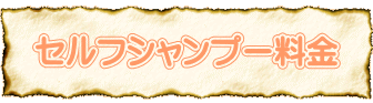 お泊り料金